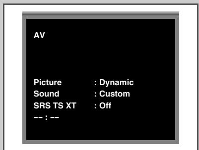 SAMSUNG PPM42M7HBP - Displaying the Setting Information - 2