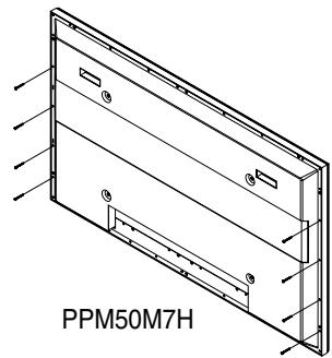 SAMSUNG PPM42M7HBP - Conexión de los altavoces - 2