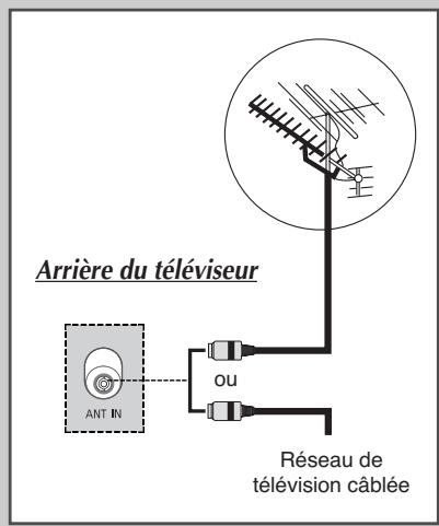 SAMSUNG PS-42S5H - Branchement à un réseau de télévision câlée ou hertzienne - 1