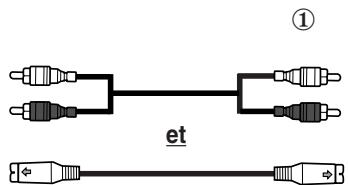 SAMSUNG PS-42S5H - Branchement de l'entrée s-viséo - 2