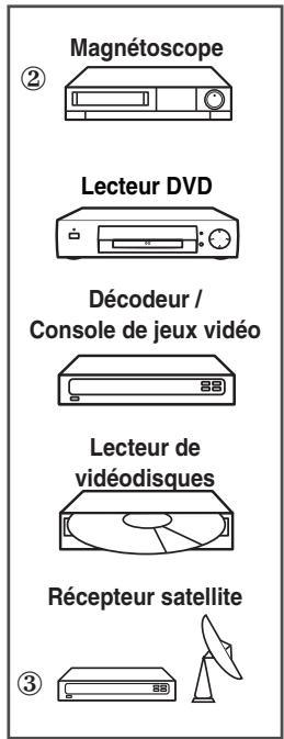 SAMSUNG PS-42S5H - Branchement des entrées/sorties externes - 8