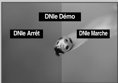 SAMSUNG PS-42S5H - Visualisation de la démonstration DNLE - 3