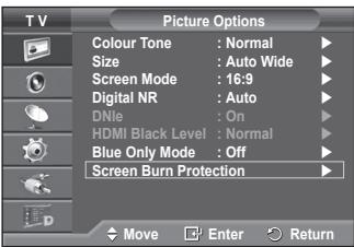 SAMSUNG PS50A416C1D - Screen Burn Protection - 1
