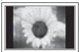 SAMSUNG PS50A416C1D - La visualizzazione prolungata di un'immagine fissa potrebbe causare un danno permanente al pannello PDP. - 1