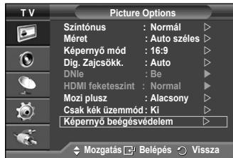 SAMSUNG PS50A550 - Kepernyobeegesvedelem - 1
