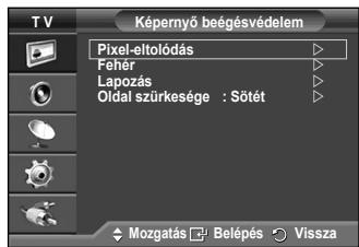 SAMSUNG PS50A550 - Kepernyobeegesvedelem - 2