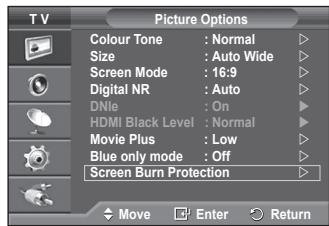 SAMSUNG PS50A550 - Screen Burn Protection - 1