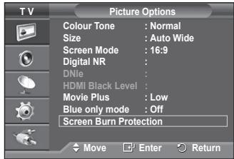 SAMSUNG PS50A550 - Screen Burn Protection - 1