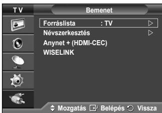 SAMSUNG PS50A550 - Külső jelforrások megtekintése - 1