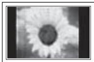 SAMSUNG PS58A676T1M - ◆ A still image displayed too long may cause permanent damage to the PDP Panel. - 1