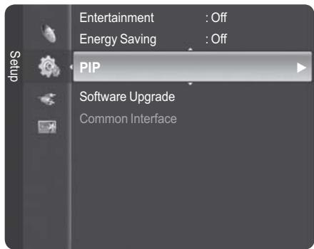 Entertainment : Off Energy Saving : Off PIP Software Upgrade Common Interface