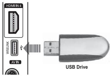 HDMI IN 4 WISELINK AV IN USB Drive