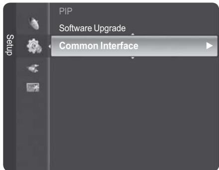 PIP Software Upgrade Common Interface