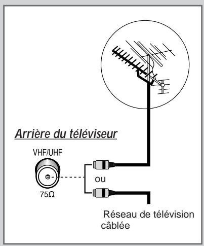 SAMSUNG SP-43W6HL - Branchement à un réseau de télévision câlée ou hertzienne - 1