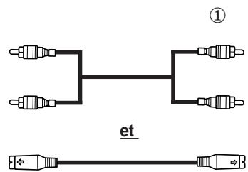 SAMSUNG SP-43W6HL - Branchement de l'entrée RCA - 5