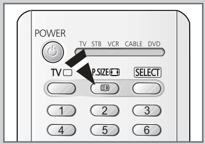 SAMSUNG SP-43W6HL - Sélection de la taille de l'image (modèle large) - 4