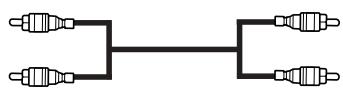 SAMSUNG SP-43W6HL - Branchement de la sortie audio - 2