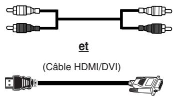 SAMSUNG SP-67L6HV - Connexion au connecteur HDMI/DVI compatible - 2