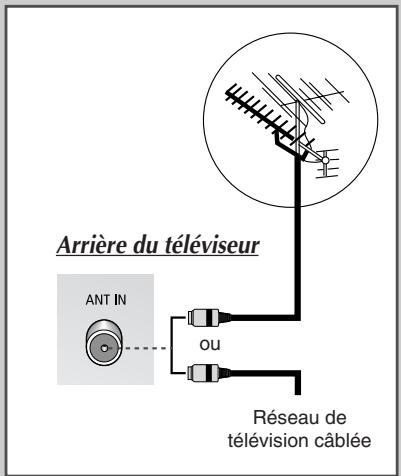 SAMSUNG SP-67L6HV - Branchement à un réseau de télévision cablee ou hertzienne - 1