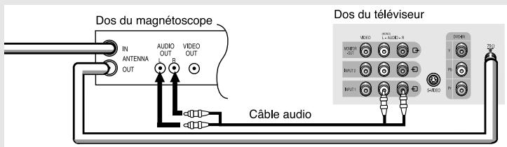 SAMSUNG TX-N2734F - Raccordement d'un magnétoscope - 4