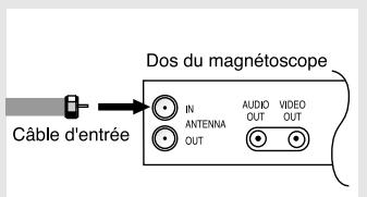 SAMSUNG TX-N2734F - Raccordement d'un magnétoscope - 2
