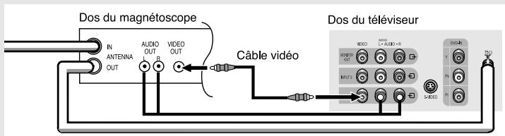 SAMSUNG TX-N2734F - Raccordement d'un magnétoscope - 5