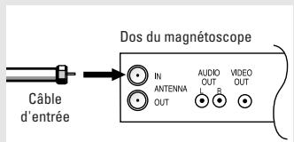 SAMSUNG TX-R3064W - Connexion d'un magnétoscope - 2