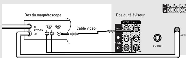 SAMSUNG TX-R3064W - Connexion d'un magnétoscope - 5