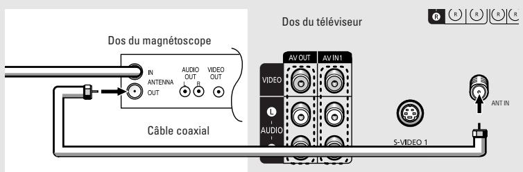 SAMSUNG TX-R3064W - Connexion d'un magnétoscope - 3