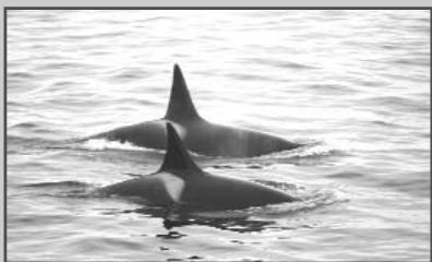 SAMSUNG UW-17J11VD - Lecture d'un disque (MPEG) - 3