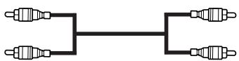 SAMSUNG WS-28A114N - Branchement de la sortie audio - 2