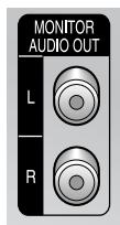 SAMSUNG WS-28A114N - Branchement de la sortie audio - 1