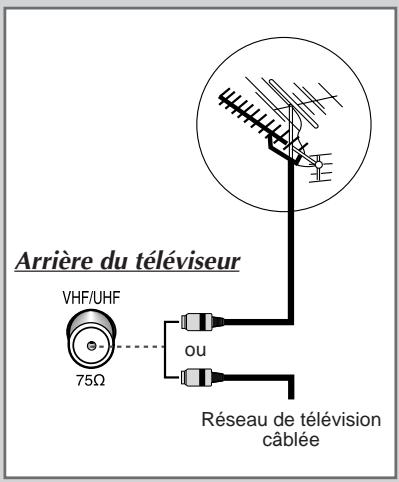 Arrière du téléviseur VHF/UHF 75Ω ou Réseau de télévision câblée