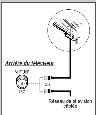 SAMSUNG WS-28M064N - Branchement à un réseau de télévision câlée ou hertzienne - 1