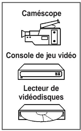 SAMSUNG WS-28M164NW - Branchement de l'entrée RCA (en fonction du module) - 3