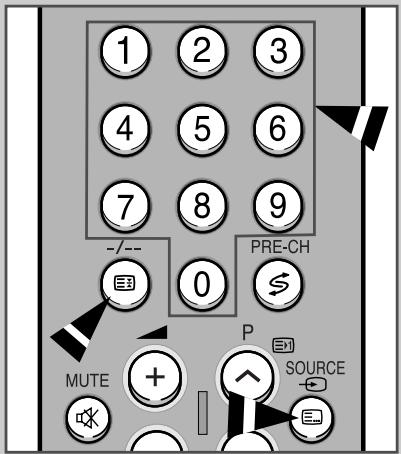 1 2 3 4 5 6 7 8 9 --/-- PRE-CH 0 $ MUTE + P SOURCE