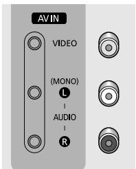 AVIN VIDEO (MONO) L AUDIO R