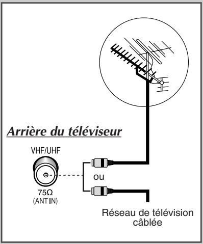 Arrière du téléviseur VHF/UHF 75Ω (ANT IN) ou Réseau de télévision câblée