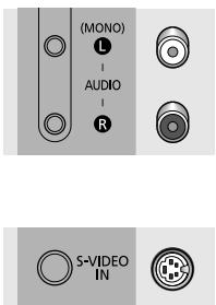 (MONO) L AUDIO R S-VIDEO IN