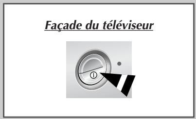 SAMSUNG WS-32Z68P - Branchement à un réseau de télévision câlée ou hertzienne - 3