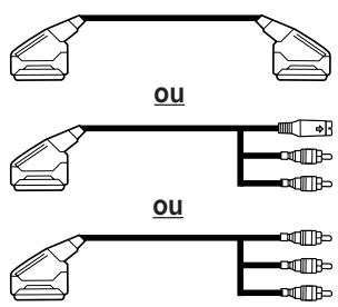 SAMSUNG WS-32Z68P - Branchement de l'entrée/des sorties externes - 2