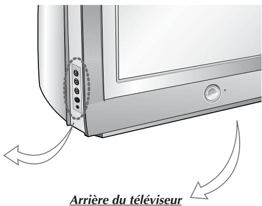 SAMSUNG WS-32Z68P - Présentation de votre téléviseur - 8