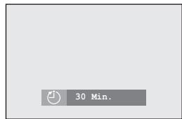30 Min.