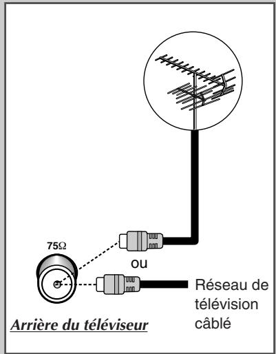 SAMSUNG CS-21M16ML - Branchez l'antenne ou un réseau de télévision câblé - 1