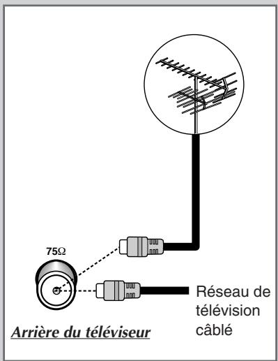 SAMSUNG CS-21S8MH - Branchez l'antenne ou un réseau de télévision câblé - 1