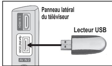 SAMSUNG LA32A550P1R - Utilisation de la fonction WISELINK - 1