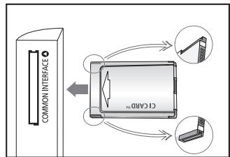COMMON INTERFACE CTGABD
