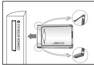 COMMON INTERFACE CTGAB