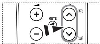 MUTE + -
