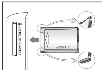 COMMON INTERFACE CT-CABO
